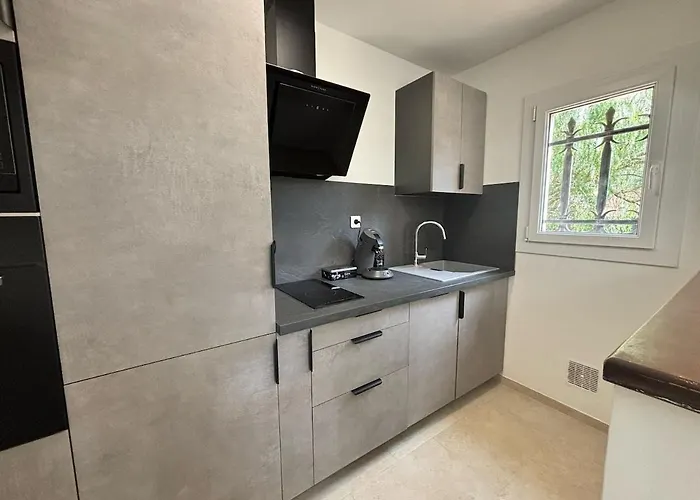 アパート 45m Avec Jardin De 35m